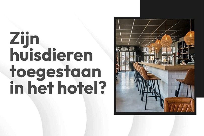 Zijn huisdieren toegestaan in het hotel?